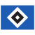 Fussballclub Suderelbe von 1949 e.V